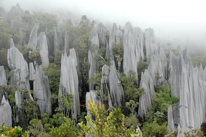 Gunung Mulu National Park
