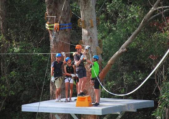 Canyon Flyer Zipline Tour, Gold Coast Image