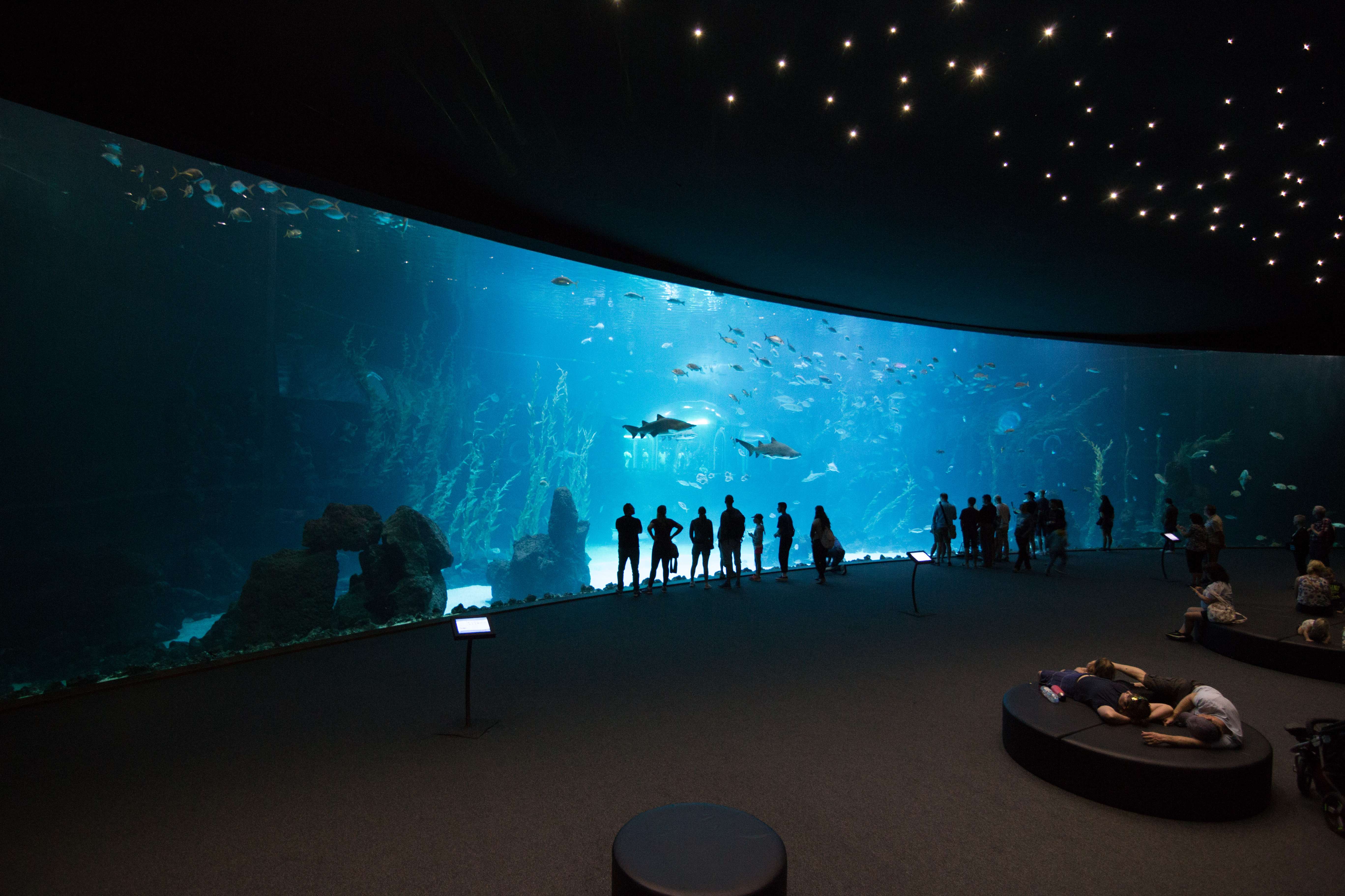 Palma Aquarium