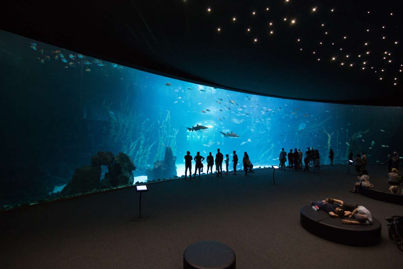 Palma Aquarium