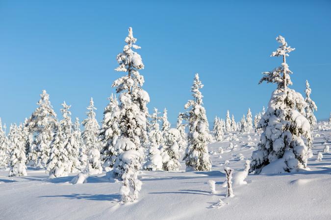 Urho Kekkonen National Park