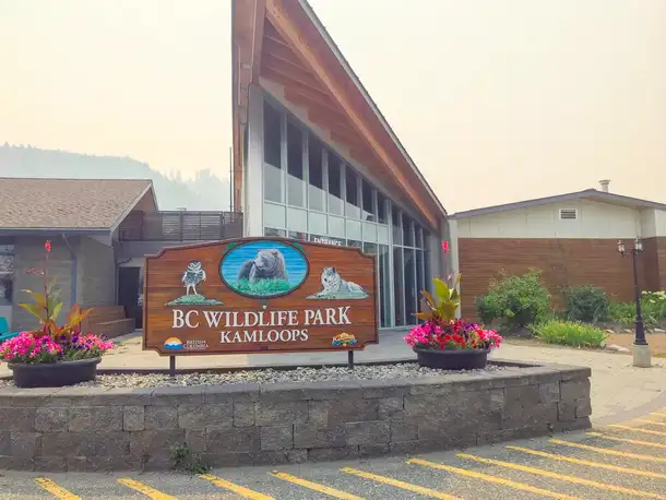 O1ubdtwu4wc22wcsjj8c2k6cx8x6 bc wildlife park kamloops bc 1 of 13