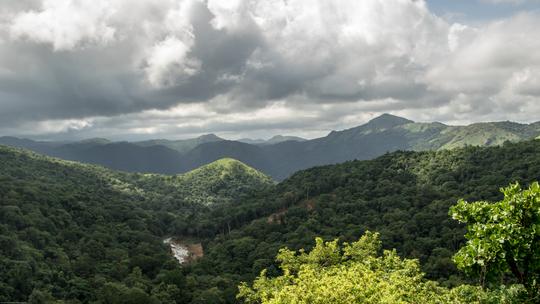 Jeep Drive To Mallalli Water Falls Image