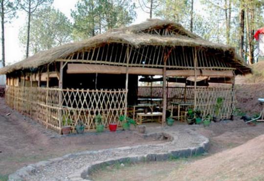 Jungle Camp Kasauli Image