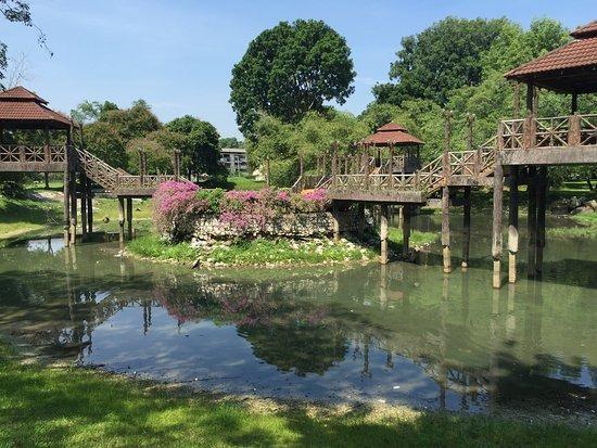 D.R. Seenivasagam Park