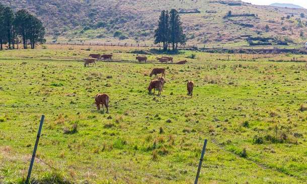 O3ebazspijkr4se6m9n083y0nkw8 1597347544 3333