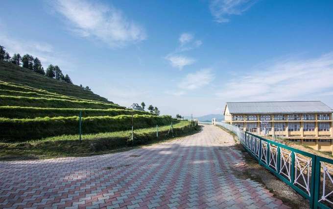 A Cozy Cottage Stay Amidst Pine Trees near Kufri