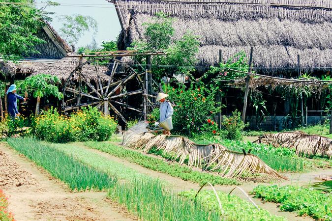 Tra Que Vegetable Village