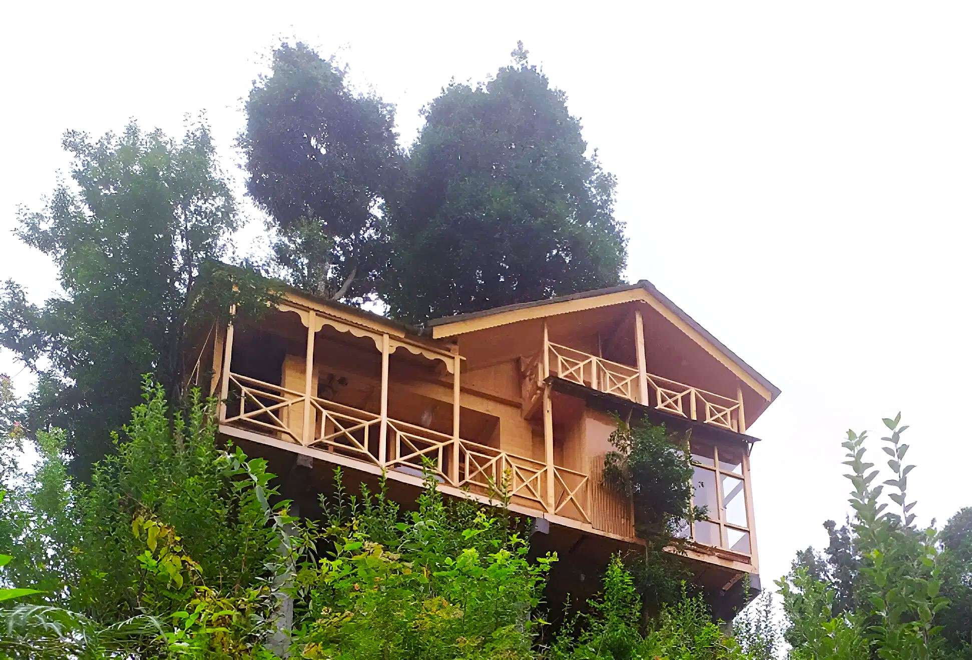 Experience Himalayan elegance with an overnight stay in a tree house in Jibhi