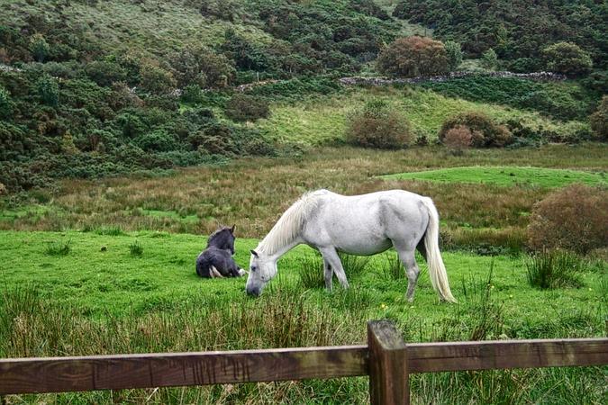 Galway's Land National Park