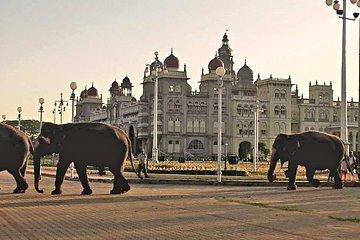 Mysore Walking Tour Image
