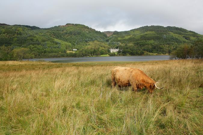 Trossachs National Park