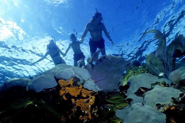 Snorkeling Trip Kochi