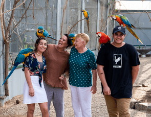 Maleny Botanic Gardens & Rainforest Reserve Day Tour, Australia