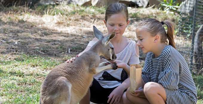  Gorge Wildlife Park in South Australia
