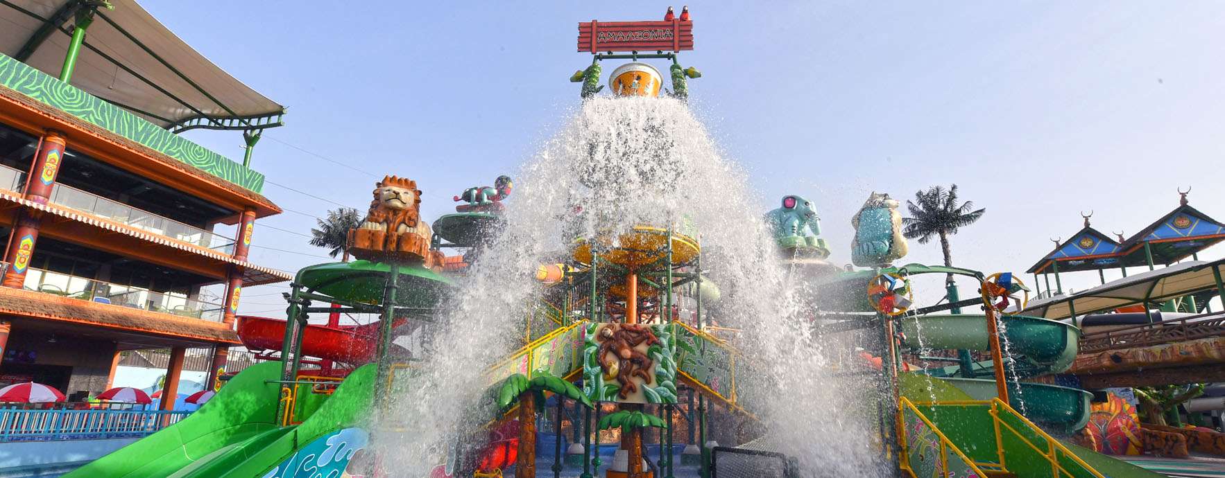 Bring your kids along and have the best time in the Pond of Life