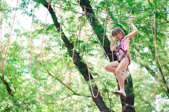 Treetop Challenge At Tamborine Mountain Image