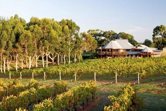 Margaret River Wine Day Tour In Perth Image