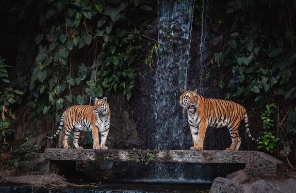 Odpzj296tga0foh1wgbhml27jbob shutterstock 2331758089