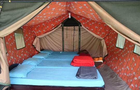 Sakleshpur Camping Experience Image