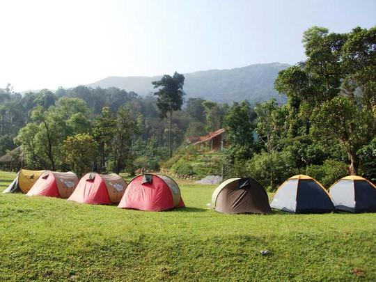 Camping In Coorg  Image