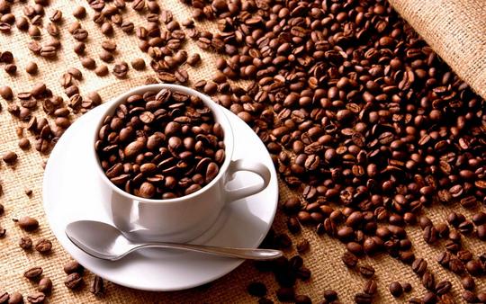 Coffee Tour Coorg Image