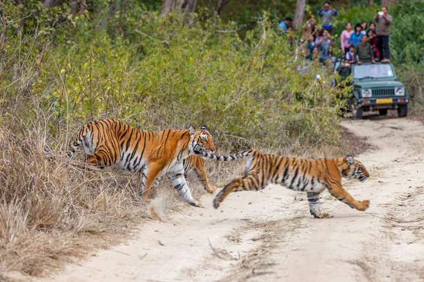 Oh3qn7ymhidbf5tal9degvpfr9vg downpic.cc image69614741