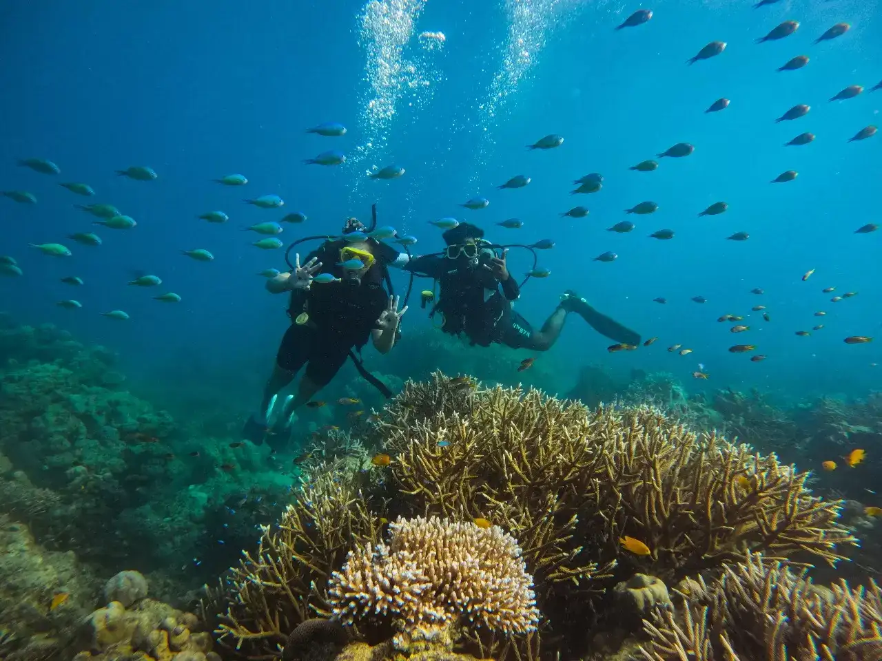 Embark on a 3-hour scuba diving adventure at Bharatpur, Neil Island