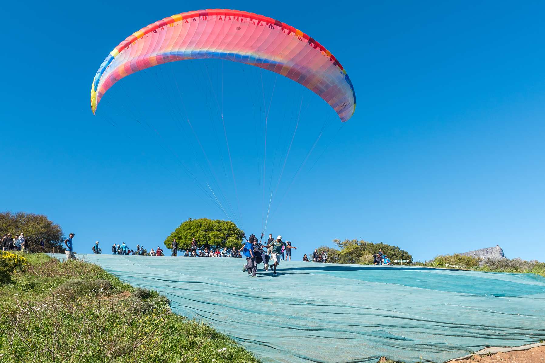 Paragliding Cape Town Experience Image