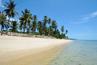 Ohr5gqkvef98mpayy7wvwo5oueg9 1627305119 shutterstock 497656390