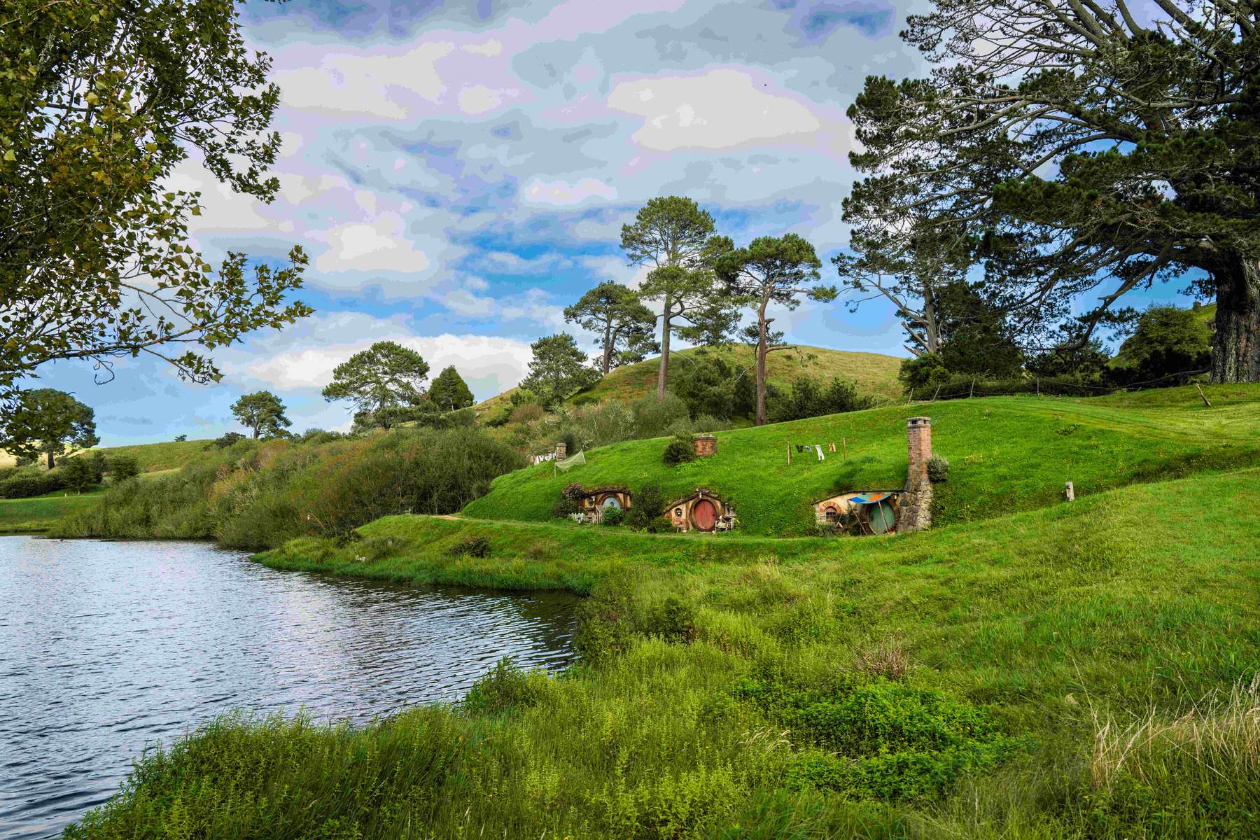 Hobbiton Movie Set Tour in Auckland Image