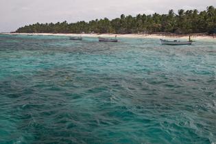 Oin4ju31g77gc4c3pemz63ihk0a4 5799663383 802de97682 k