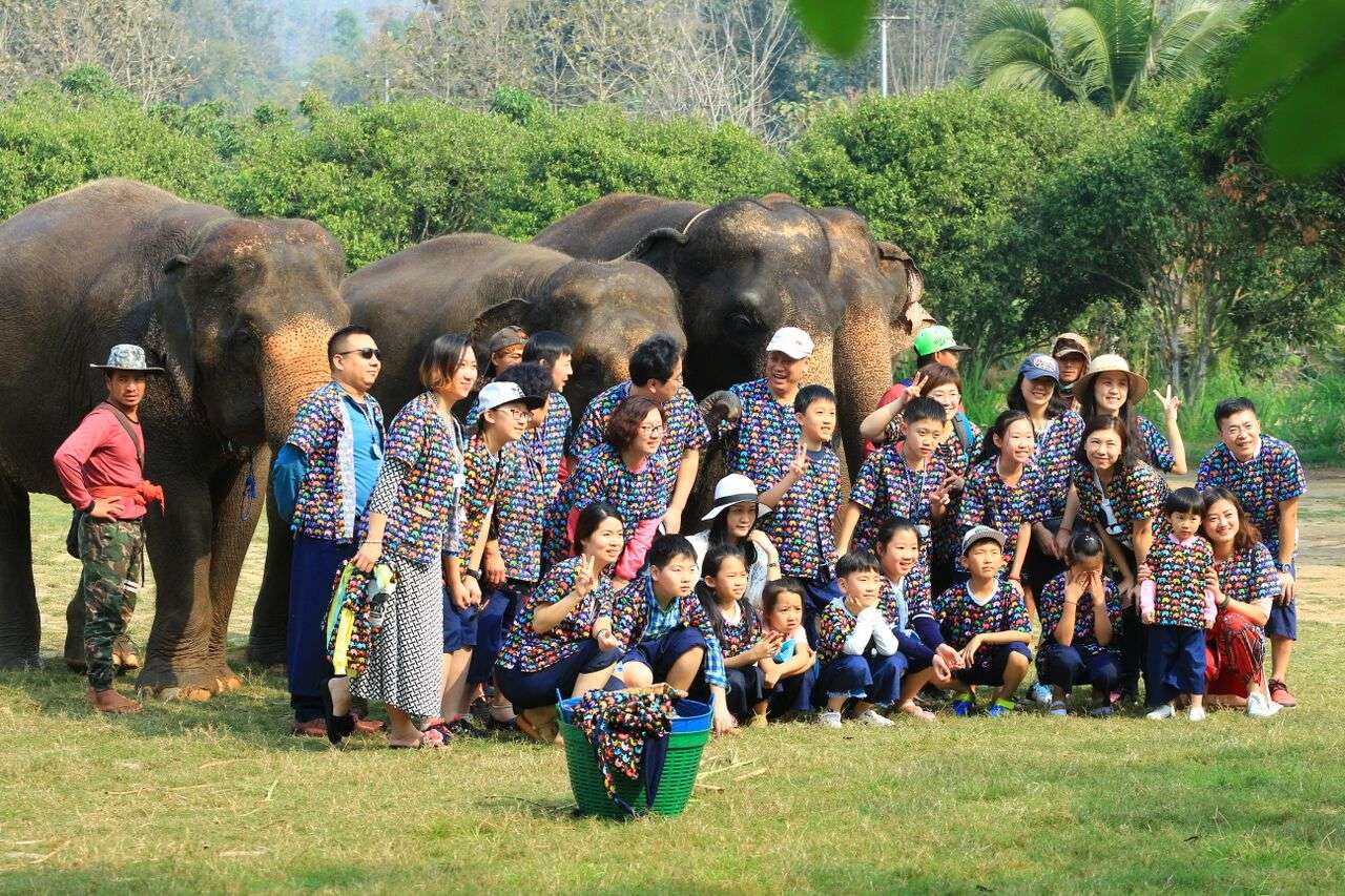 Kanta Elephant Half-day Tour Image