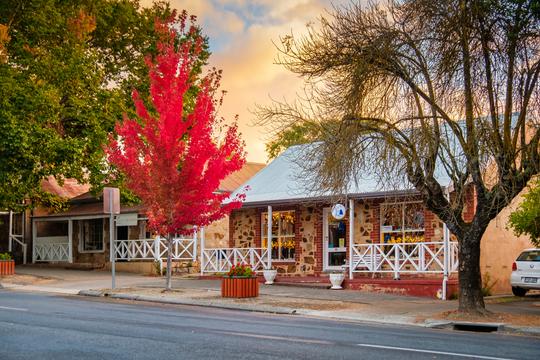 Scintillating Tour to Australia Image