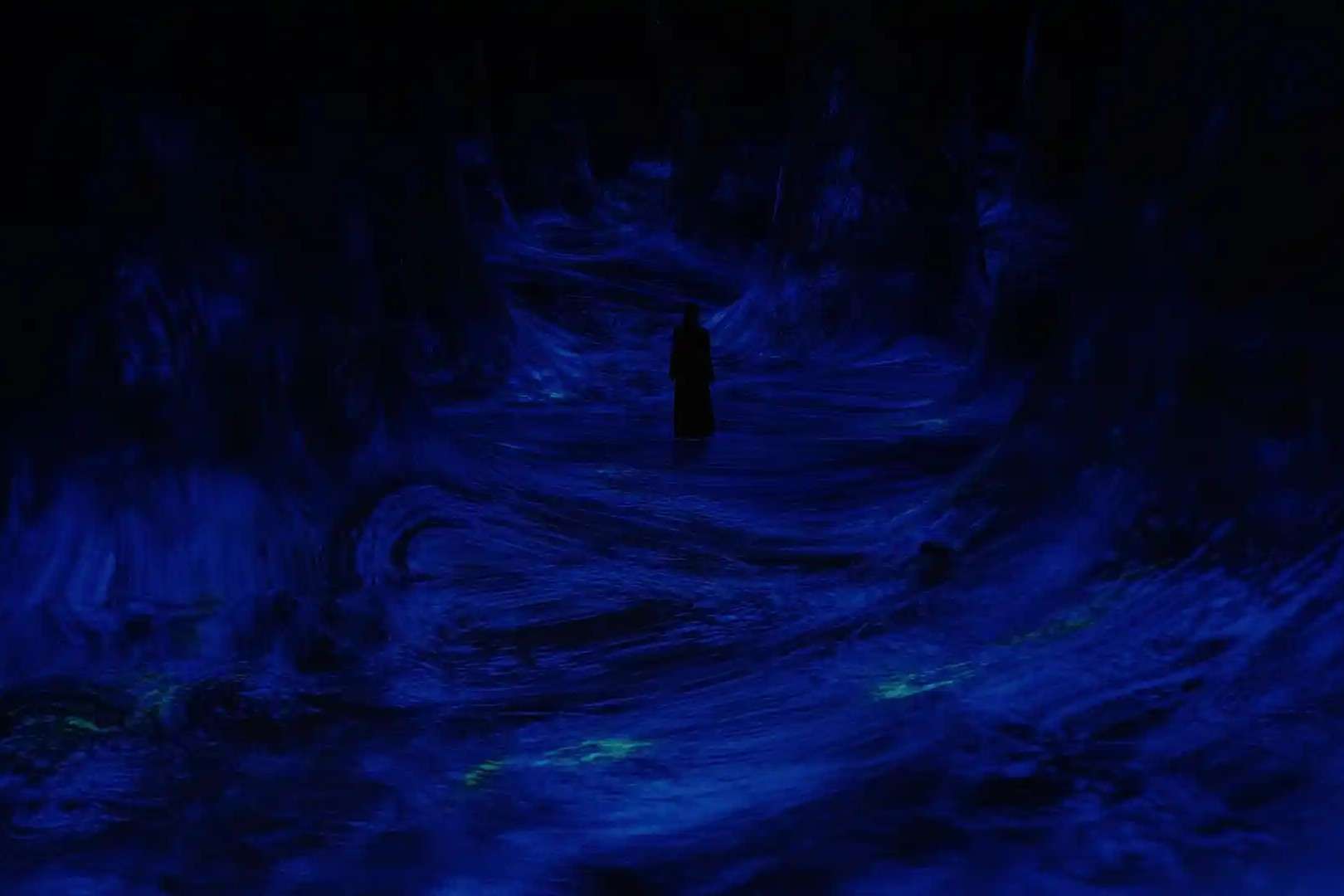 teamLab Phenomena Tickets Image