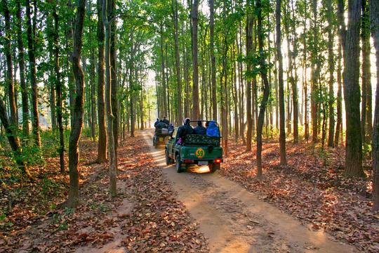 Kanha To Pench Tour From Nagpur Image