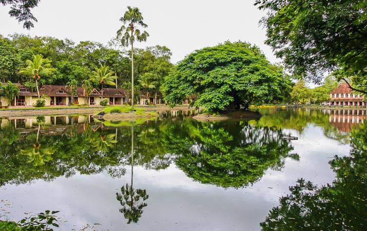 Kumarakom Backwaters