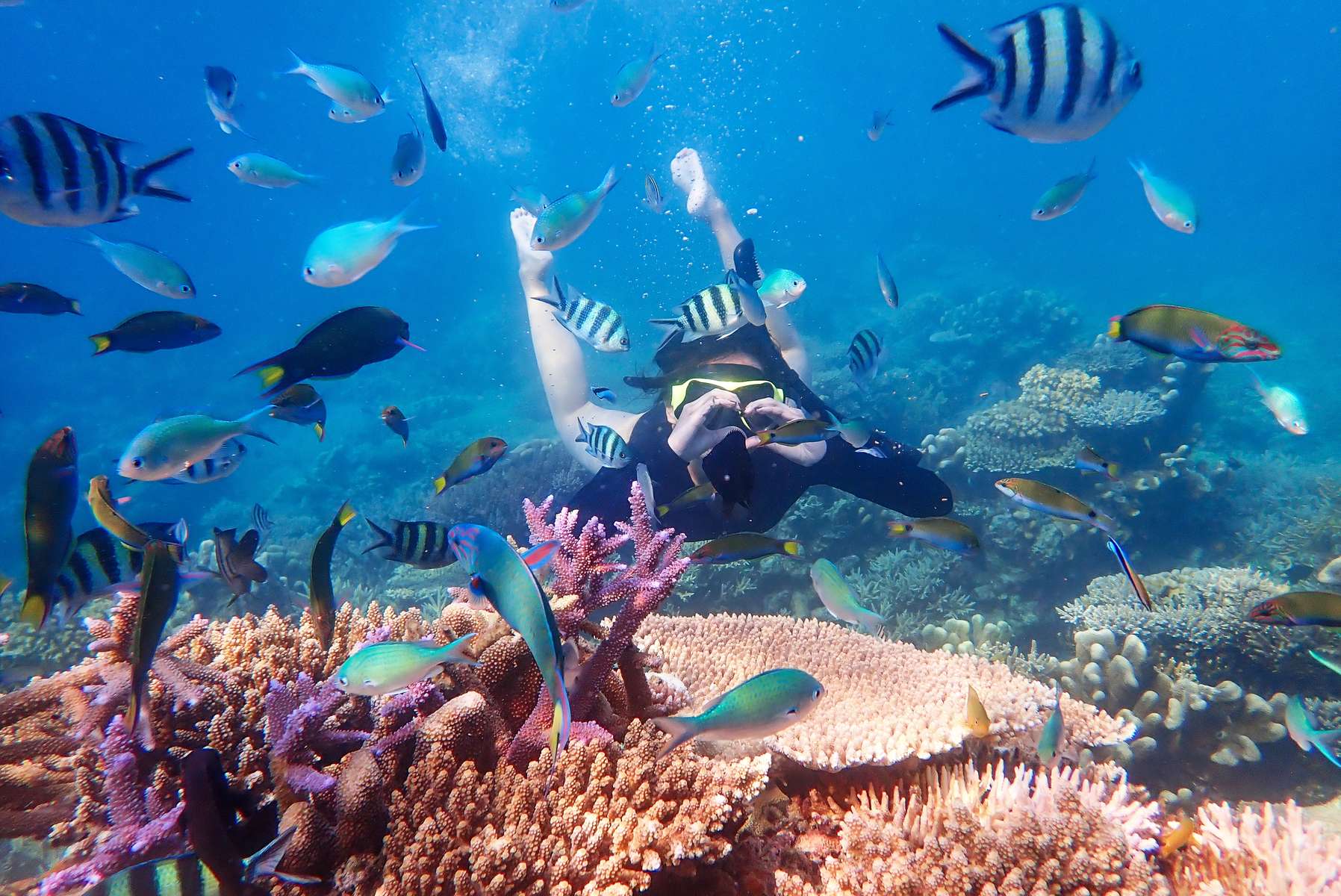 Scuba Diving In Andaman Image