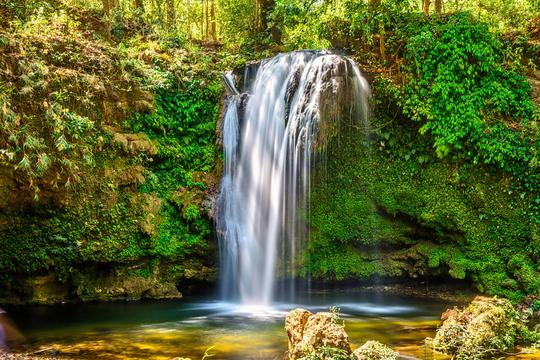 Kanha And Bandhavgarh National Park Tour From Jabalpur Image