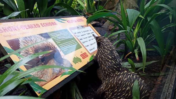 Oo2oszilqcip3f26xj47q7ga38a3 282373863 1064583134464890 8517884223305410467 n