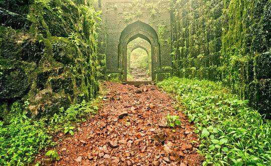 Budget Mahabaleshwar Tour Package Image