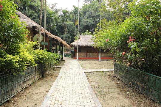 Go Wild At Kaziranga With Nature Hunt Eco Camp Image