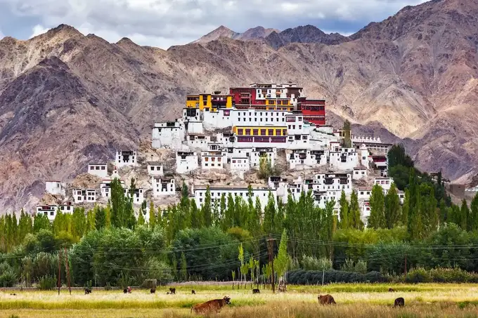 Splendors of Ladakh | Winter Group Tour Package