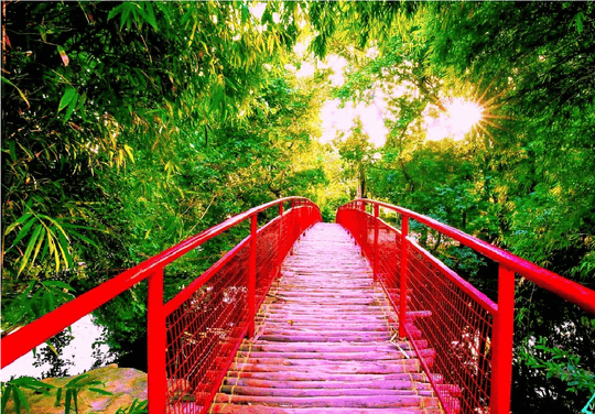 Caravan Serai Jambughoda Resort Image