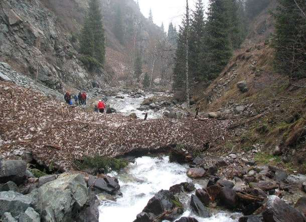 Oqp5ns1a6dnn2kgwogxse3tvsa0g 0 5 a arasan 29 min