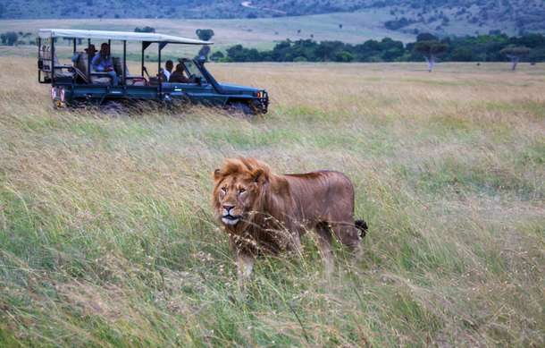 Or0eqky2c3jrymc1sqm5d13w19qz kenya%20tour%20gallery 3