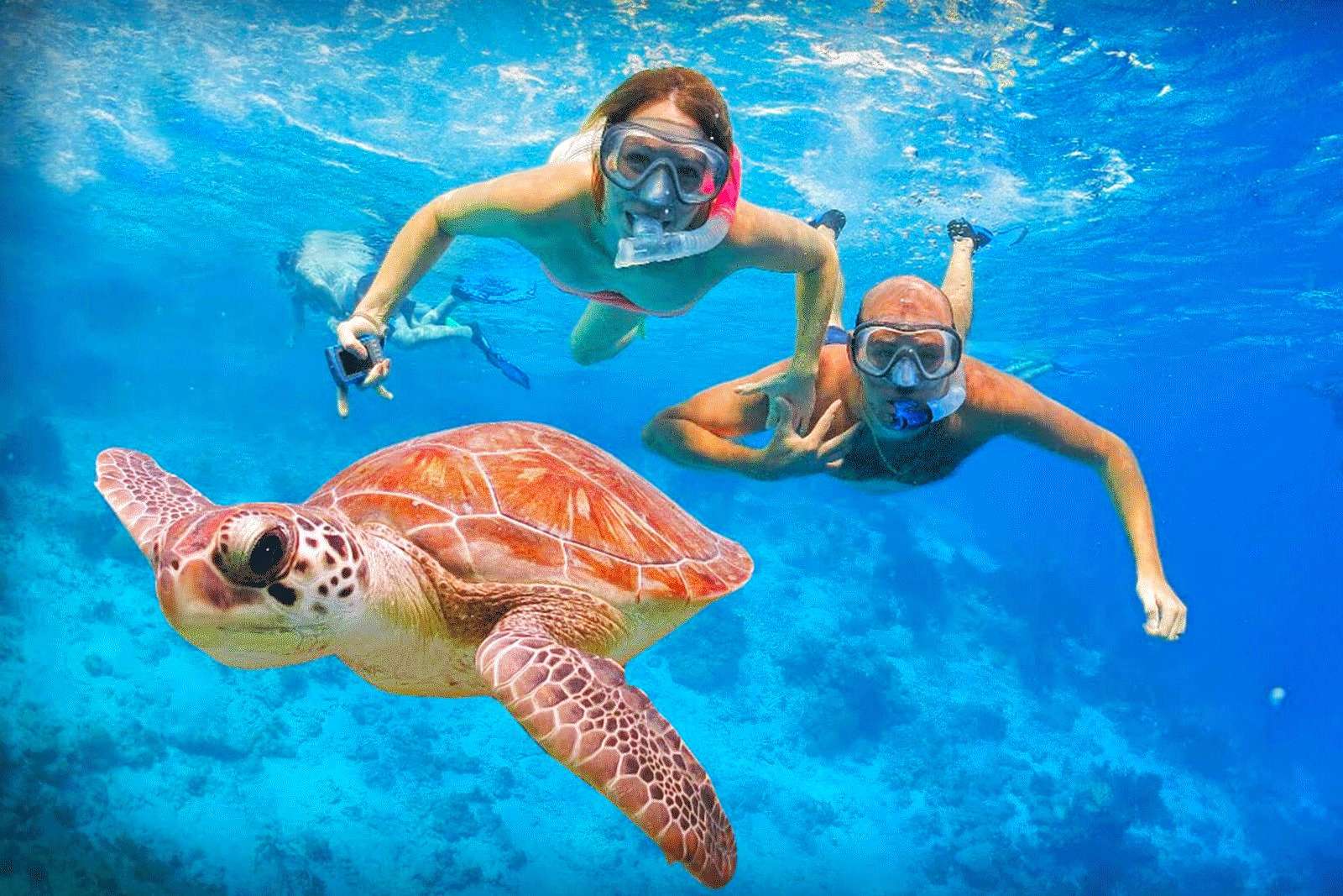 Create fun memories with your companions