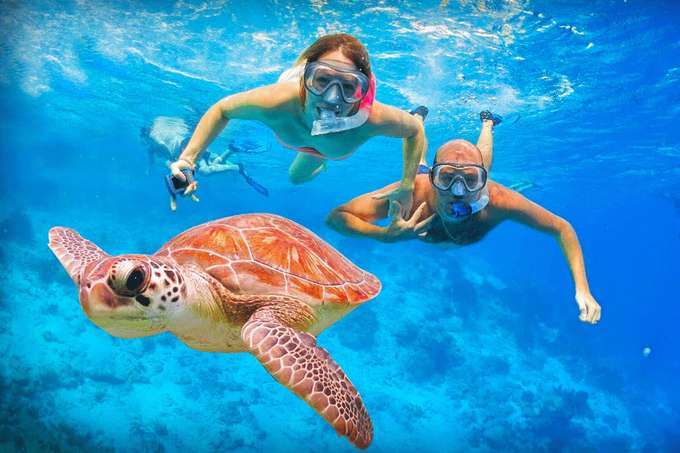 Create fun memories with your companions