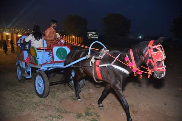 Oryj19mxoeh1gi7zh82cpq1qp7su photo 2023 07 09 14 02 03