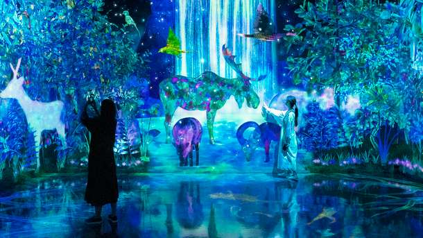 teamLab Forest Fukuoka Tickets